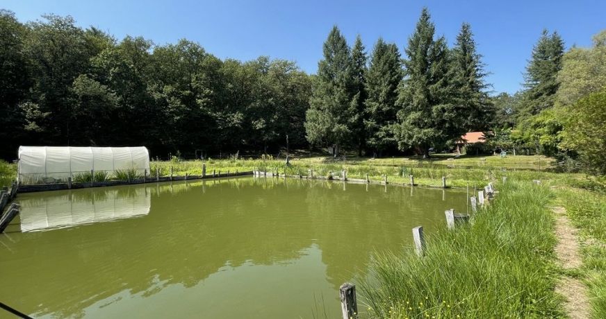vente Propriété agricole Le Palais Sur Vienne