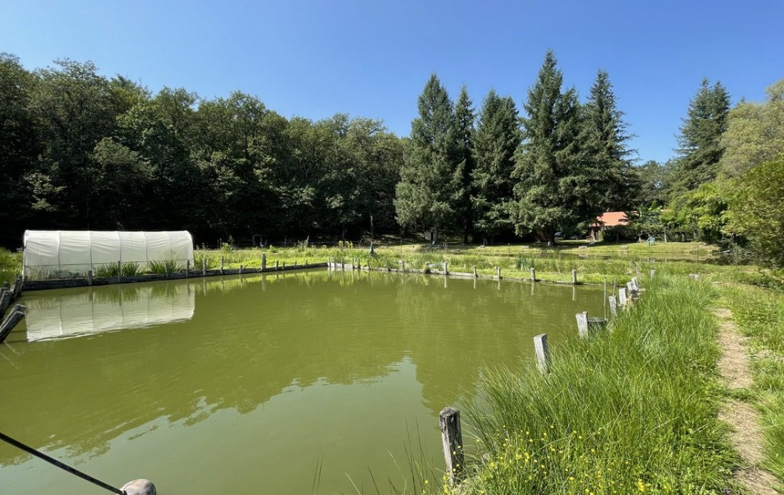 vente Propriété agricole Le Palais Sur Vienne - Photo 8