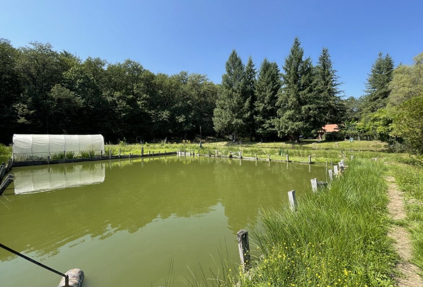 vente Propriété agricole Le Palais Sur Vienne - Photo 8