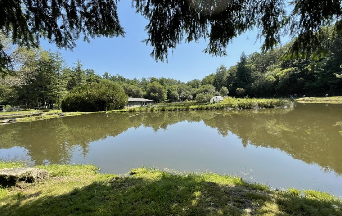 vente Propriété agricole Le Palais Sur Vienne - Photo 6