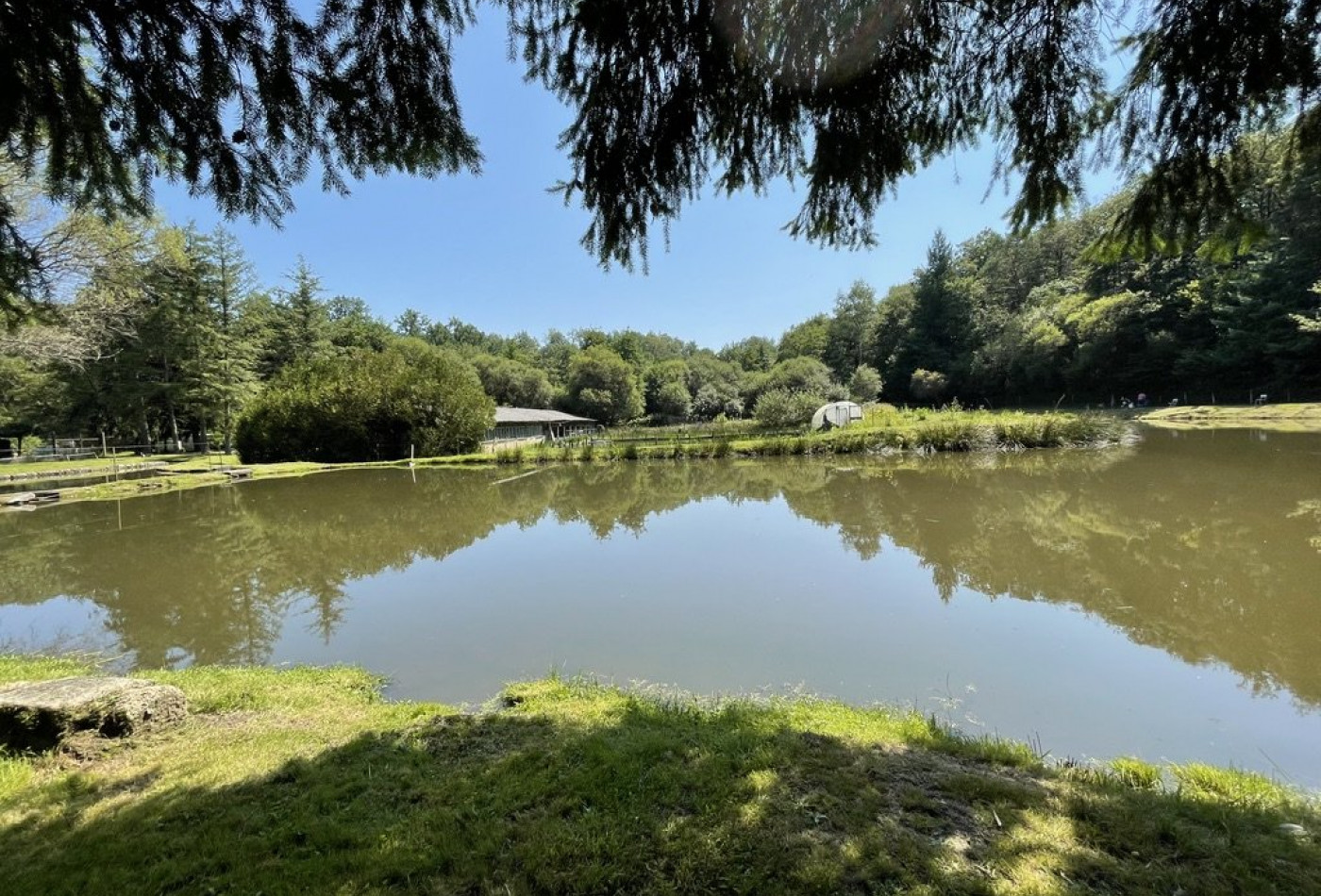 vente Propriété agricole Le Palais Sur Vienne - Photo 6
