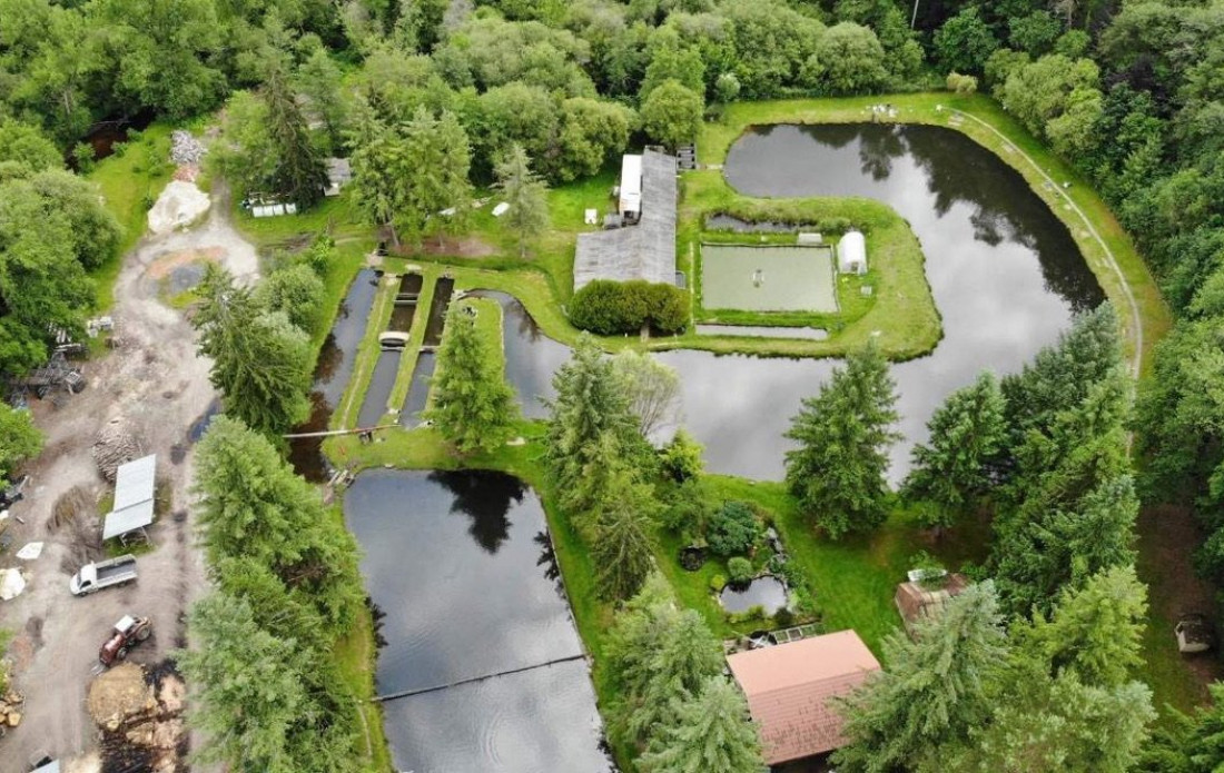 vente Propriété agricole Le Palais Sur Vienne - Photo 1