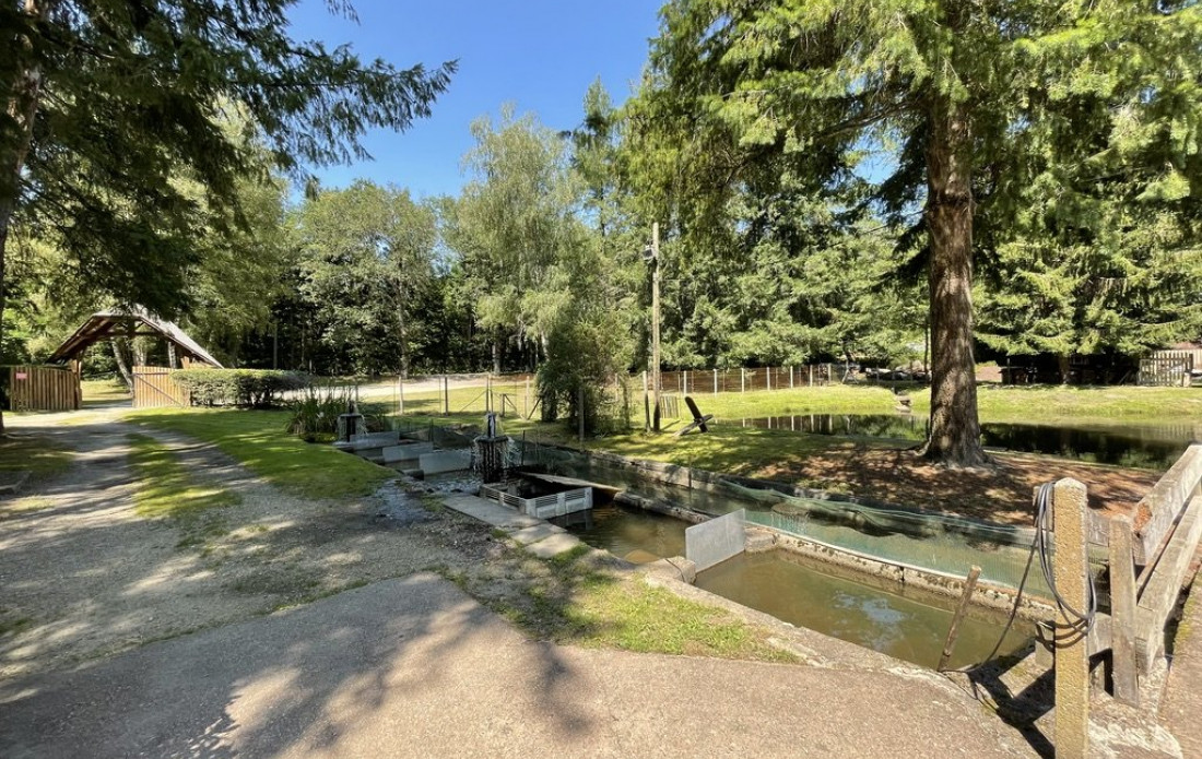 vente Propriété agricole Le Palais Sur Vienne - Photo 2