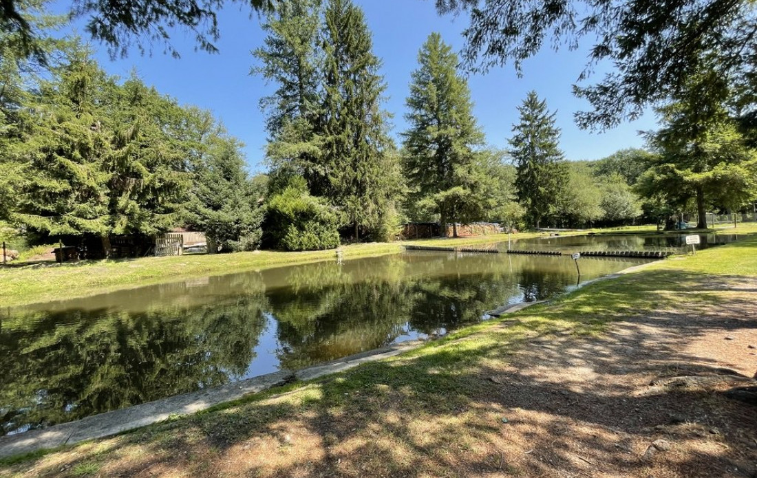 vente Propriété agricole Le Palais Sur Vienne - Photo 4