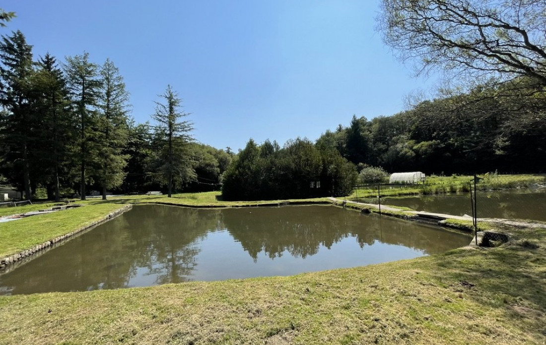 vente Propriété agricole Le Palais Sur Vienne - Photo 5