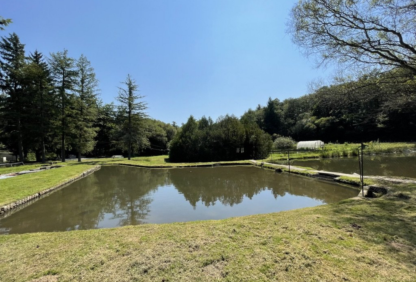 vente Propriété agricole Le Palais Sur Vienne - Photo 5