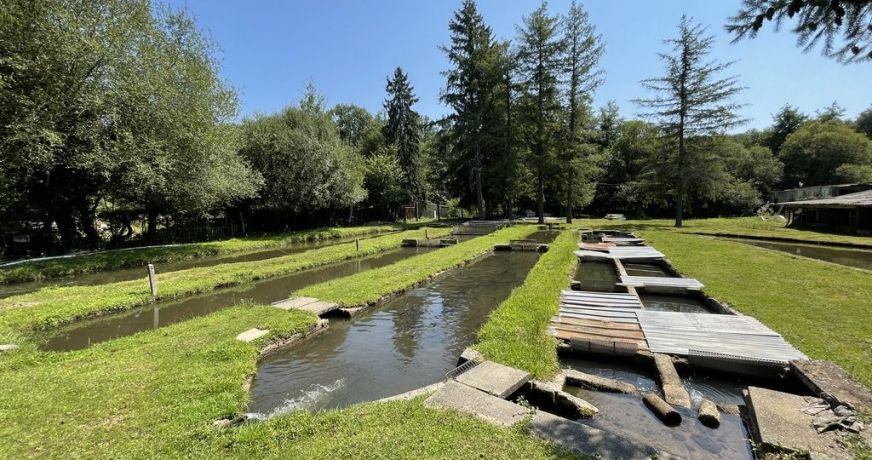 vente Propriété agricole Le Palais Sur Vienne
