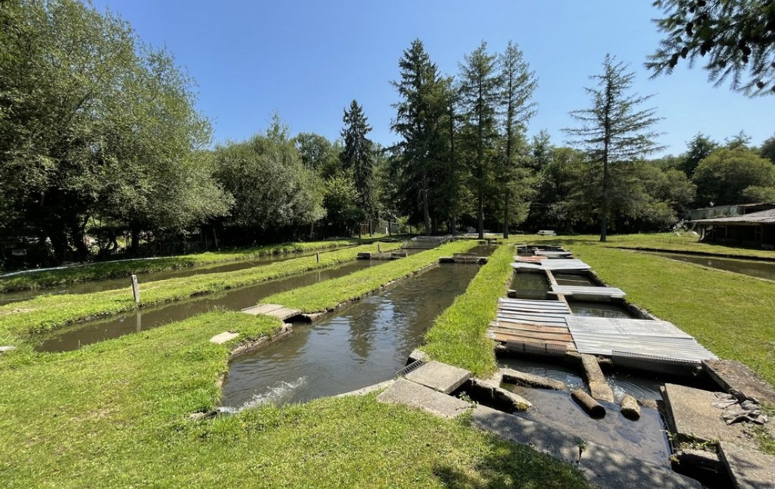 vente Propriété agricole Le Palais Sur Vienne - Photo 9