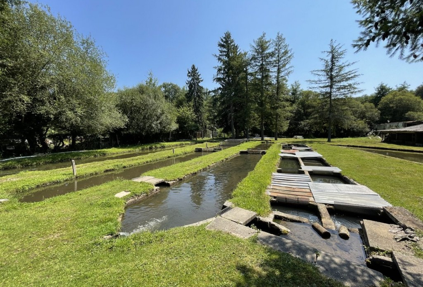 vente Propriété agricole Le Palais Sur Vienne - Photo 9