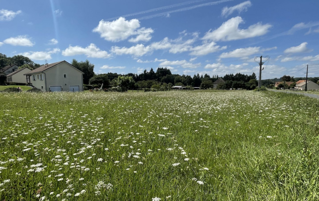 vente Terrain constructible Saint Yrieix La Perche - Photo 2