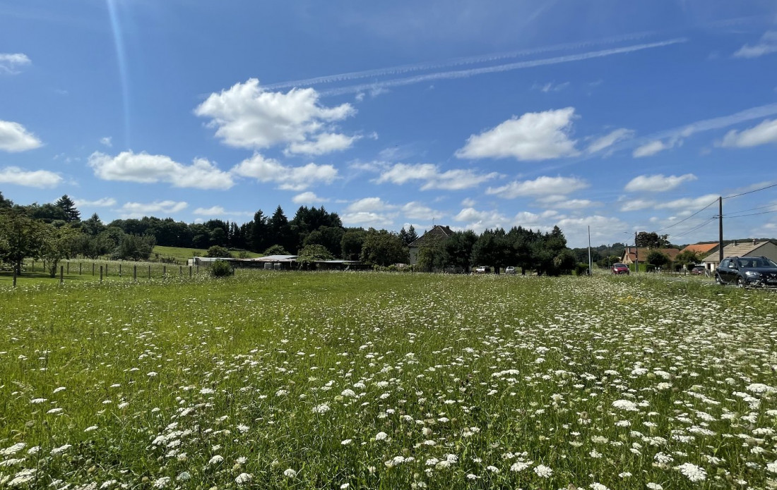 vente Terrain constructible Saint Yrieix La Perche - Photo 3