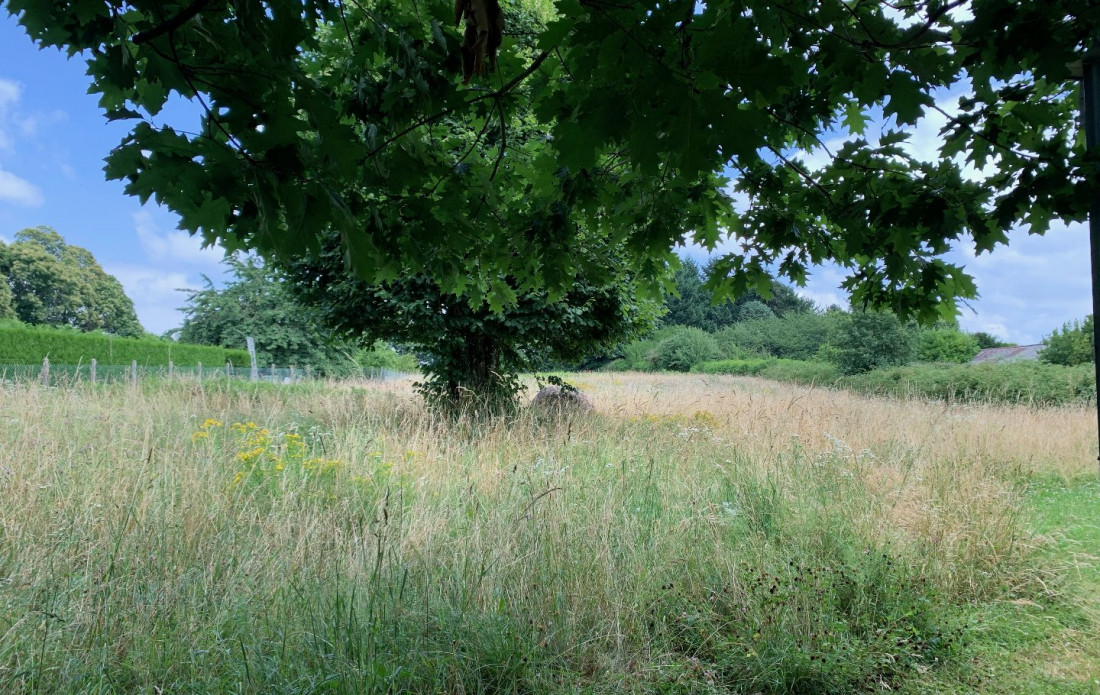 vente Terrain constructible Saint Yrieix La Perche - Photo 2