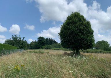 vente Terrain constructible Saint Yrieix La Perche