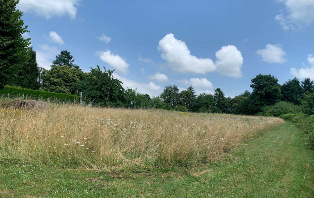 vente Terrain constructible Saint Yrieix La Perche - Photo 4