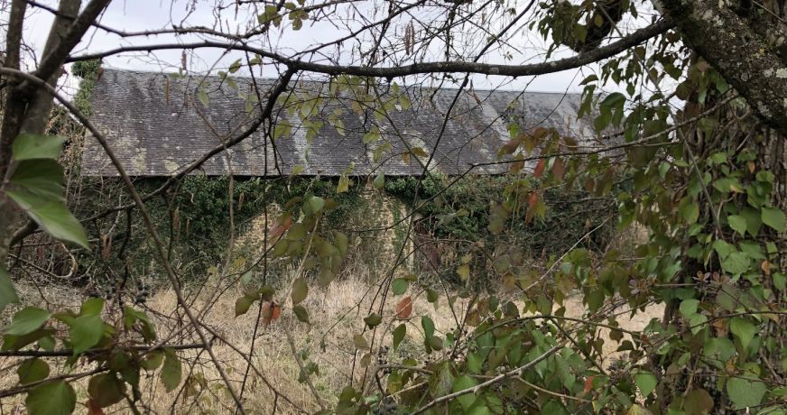 vente Grange Seilhac