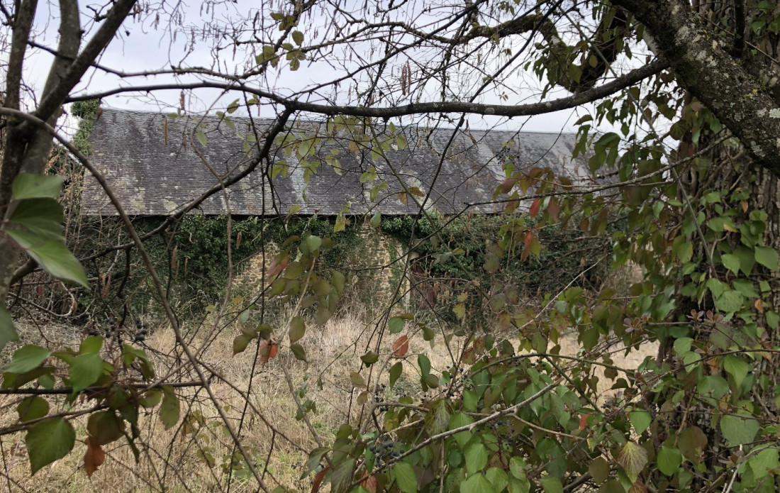 vente Grange Seilhac - Photo 6