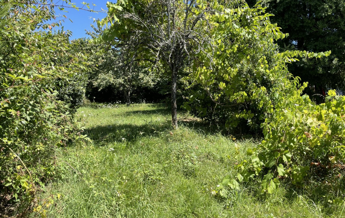 vente Terrain constructible Bussiere Galant - Photo 1