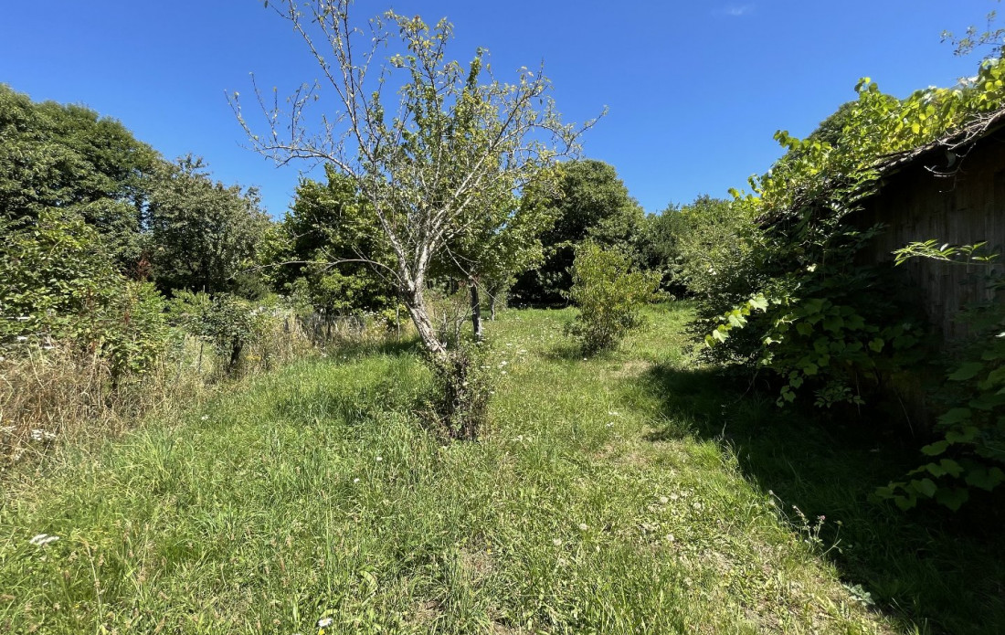 vente Terrain constructible Bussiere Galant - Photo 5