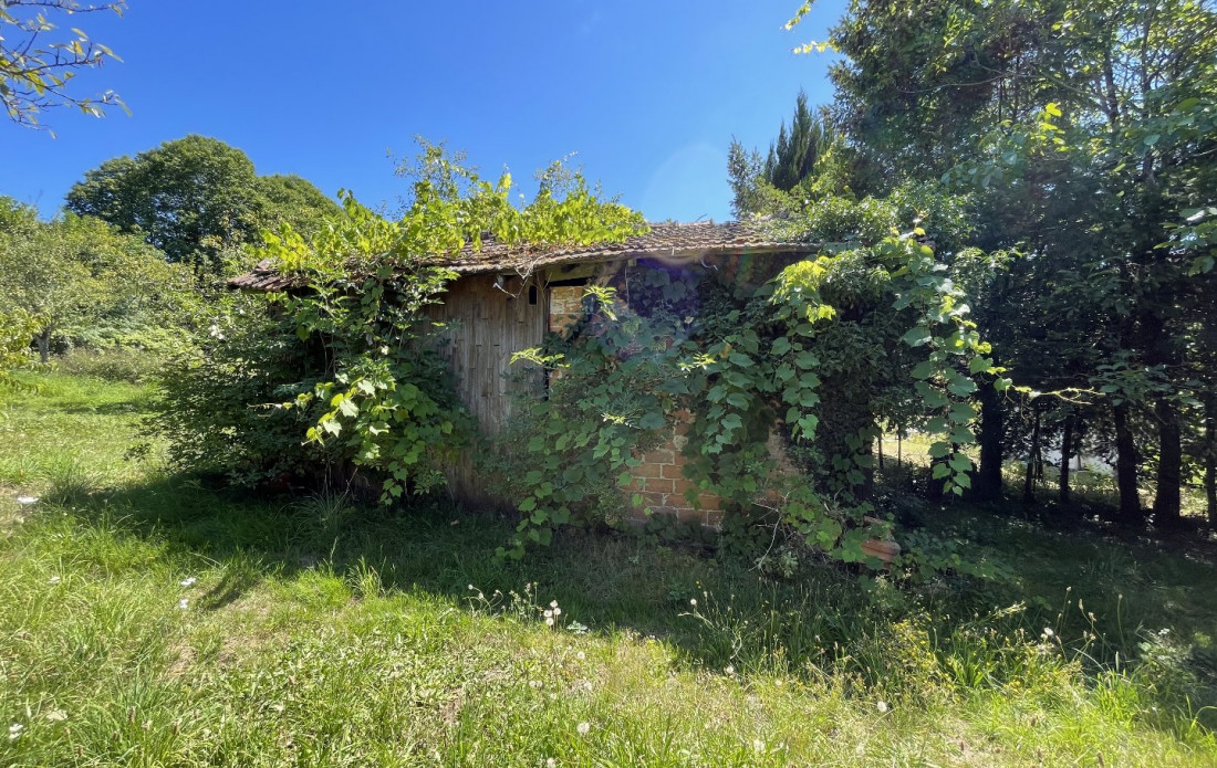 vente Terrain constructible Bussiere Galant - Photo 6