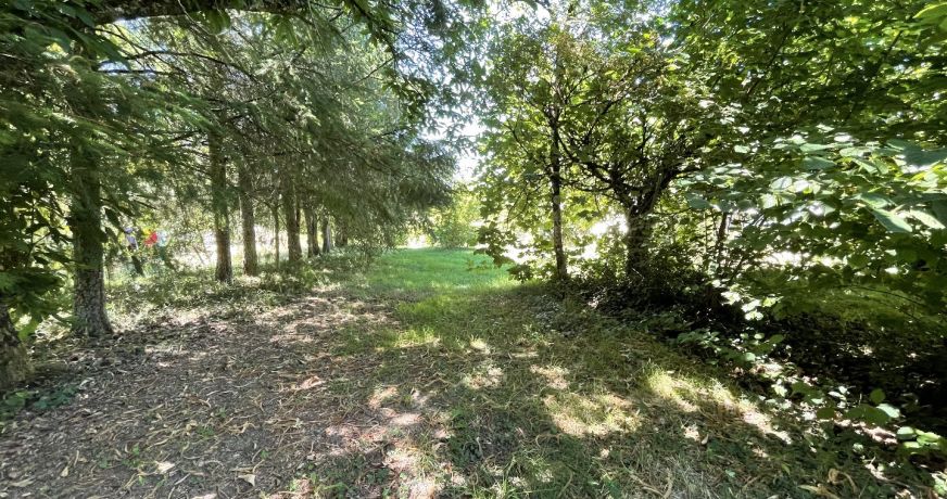 vente Terrain constructible Bussiere Galant