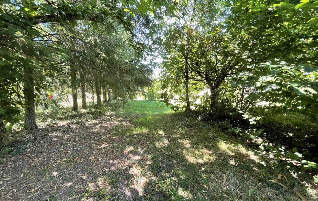 vente Terrain constructible Bussiere Galant - Photo 7