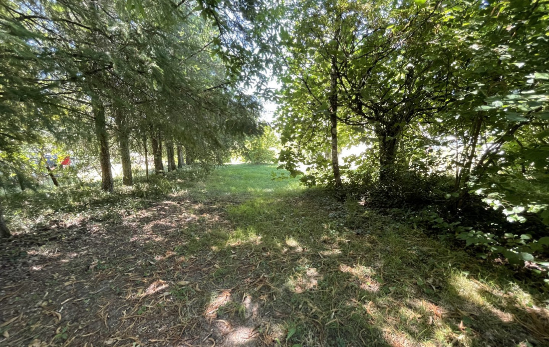 vente Terrain constructible Bussiere Galant - Photo 8