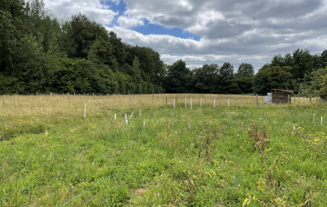 vente Maison Champsac - Photo 9