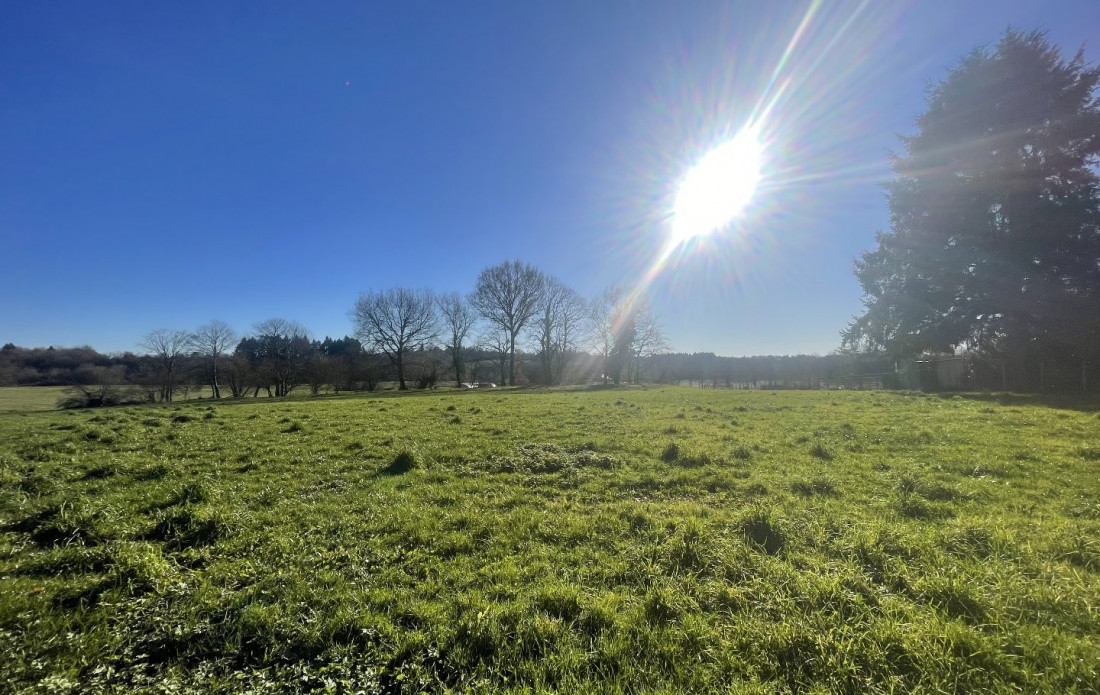 vente Terrain constructible Saint Yrieix La Perche - Photo 3