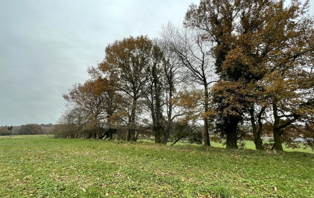 vente Terrain constructible Saint Yrieix La Perche - Photo 1