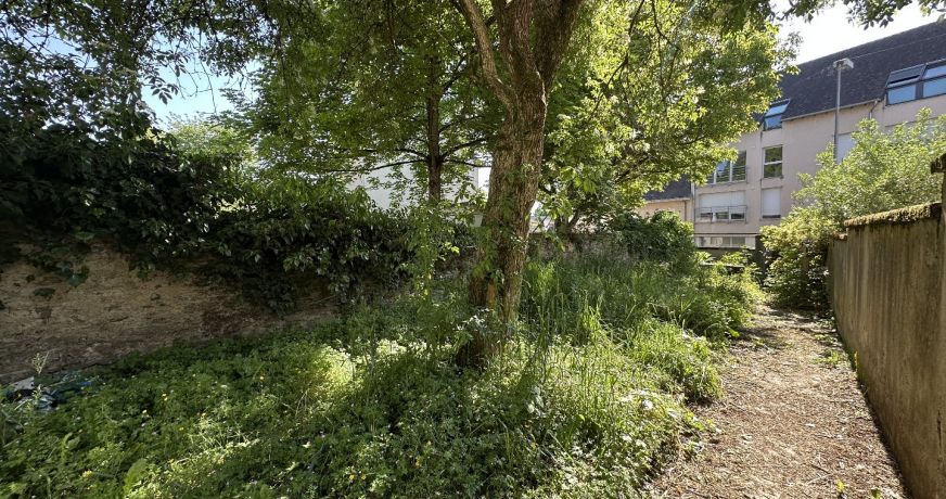 vente Immeuble de rapport Saint Yrieix La Perche