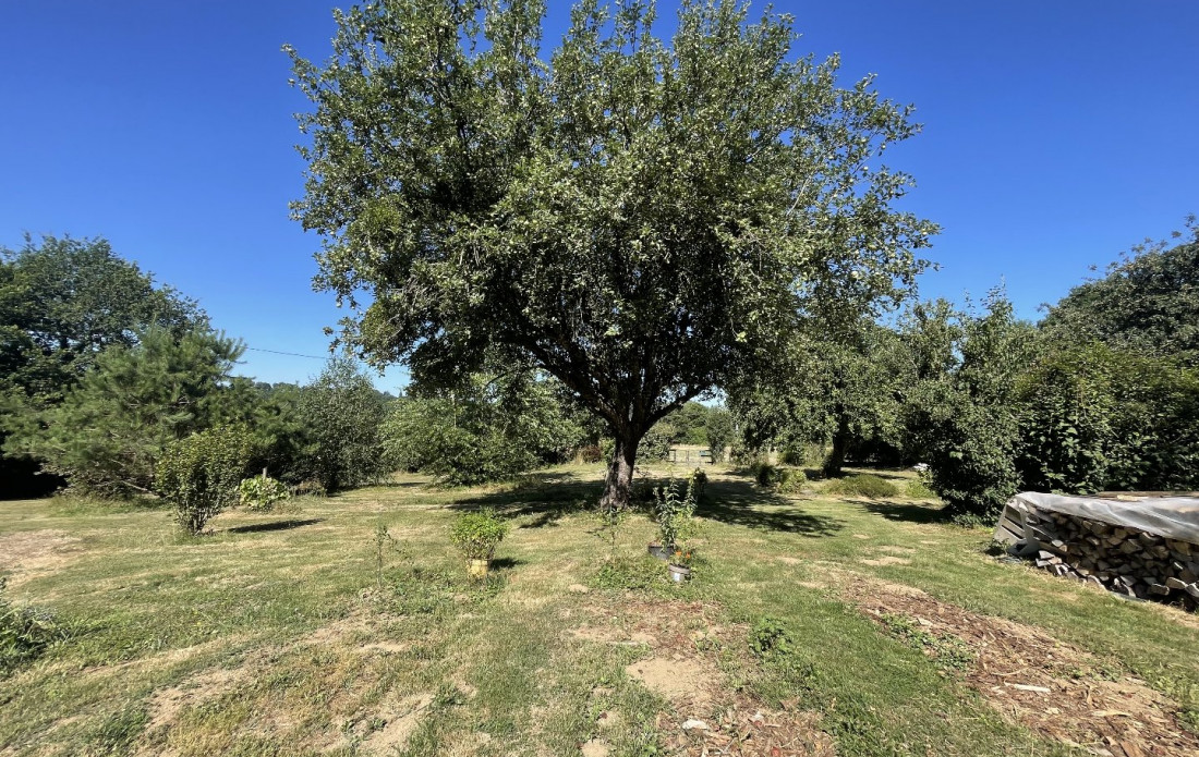 vente Maison Payzac - Photo 6