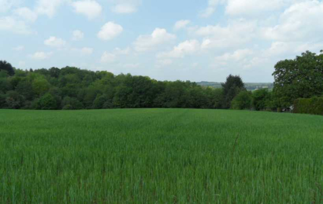 vente Terrain constructible Saint Yrieix La Perche - Photo 1