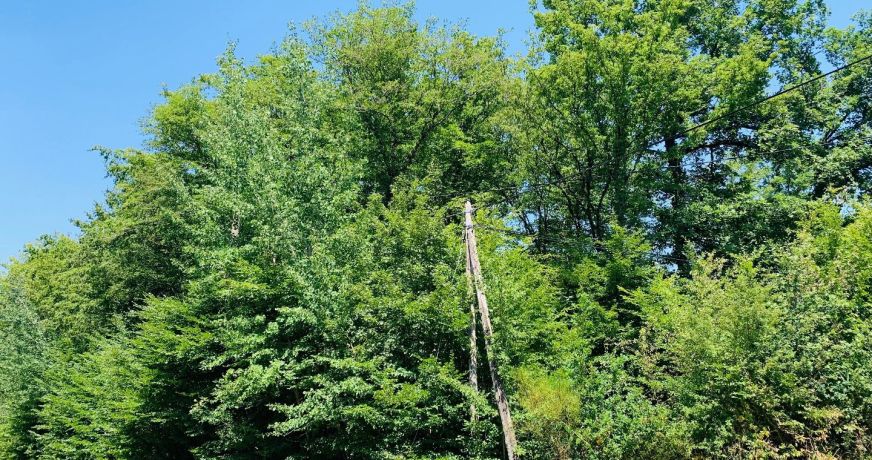 vente Terrain Bazoches Sur Le Betz