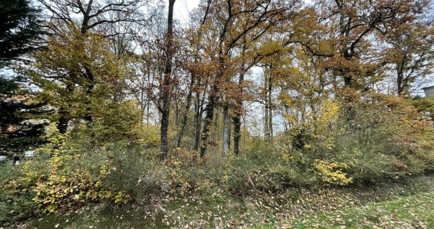 vente Terrain Bazoches Sur Le Betz