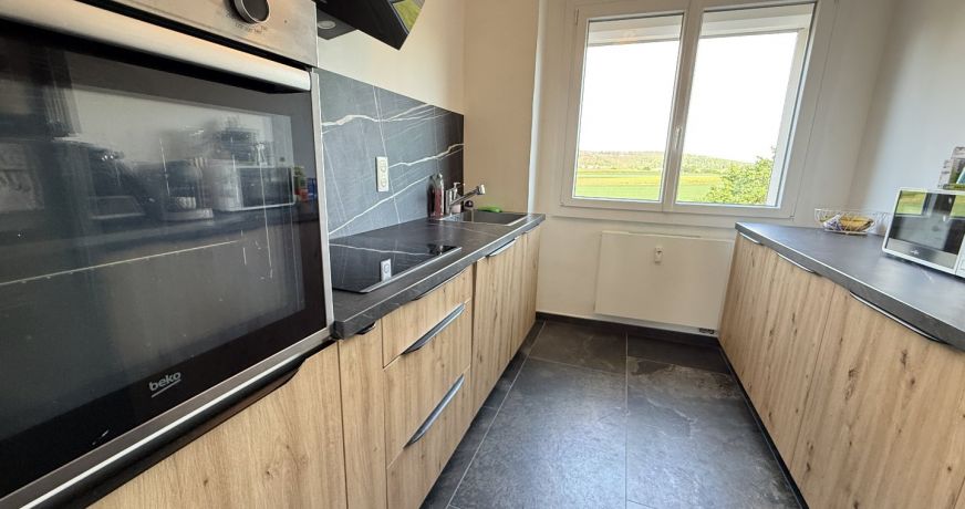 vente Appartement Delle