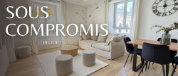 vente Appartement Belfort