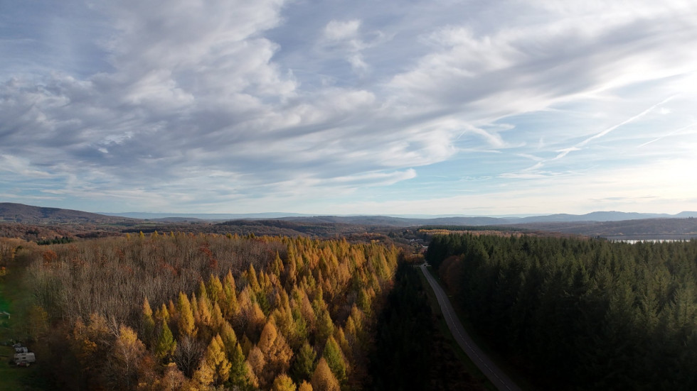 vente Terrain Plancher Bas - Photo 6