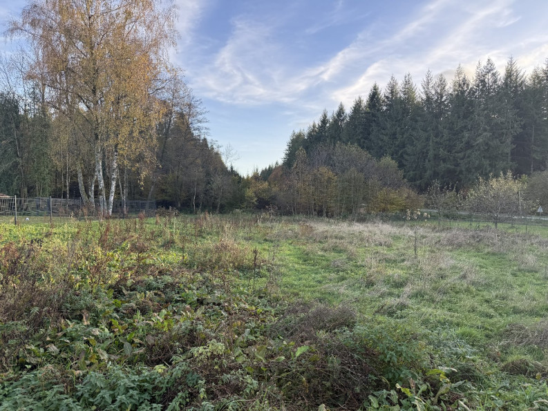 vente Terrain Plancher Bas - Photo 7