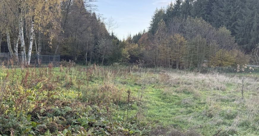 vente Terrain Plancher Bas