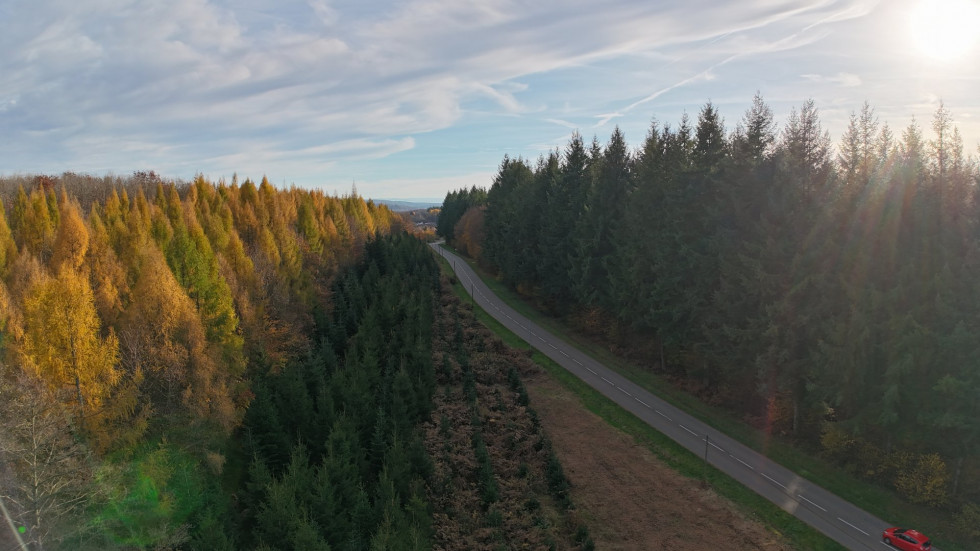 vente Terrain Plancher Bas - Photo 3