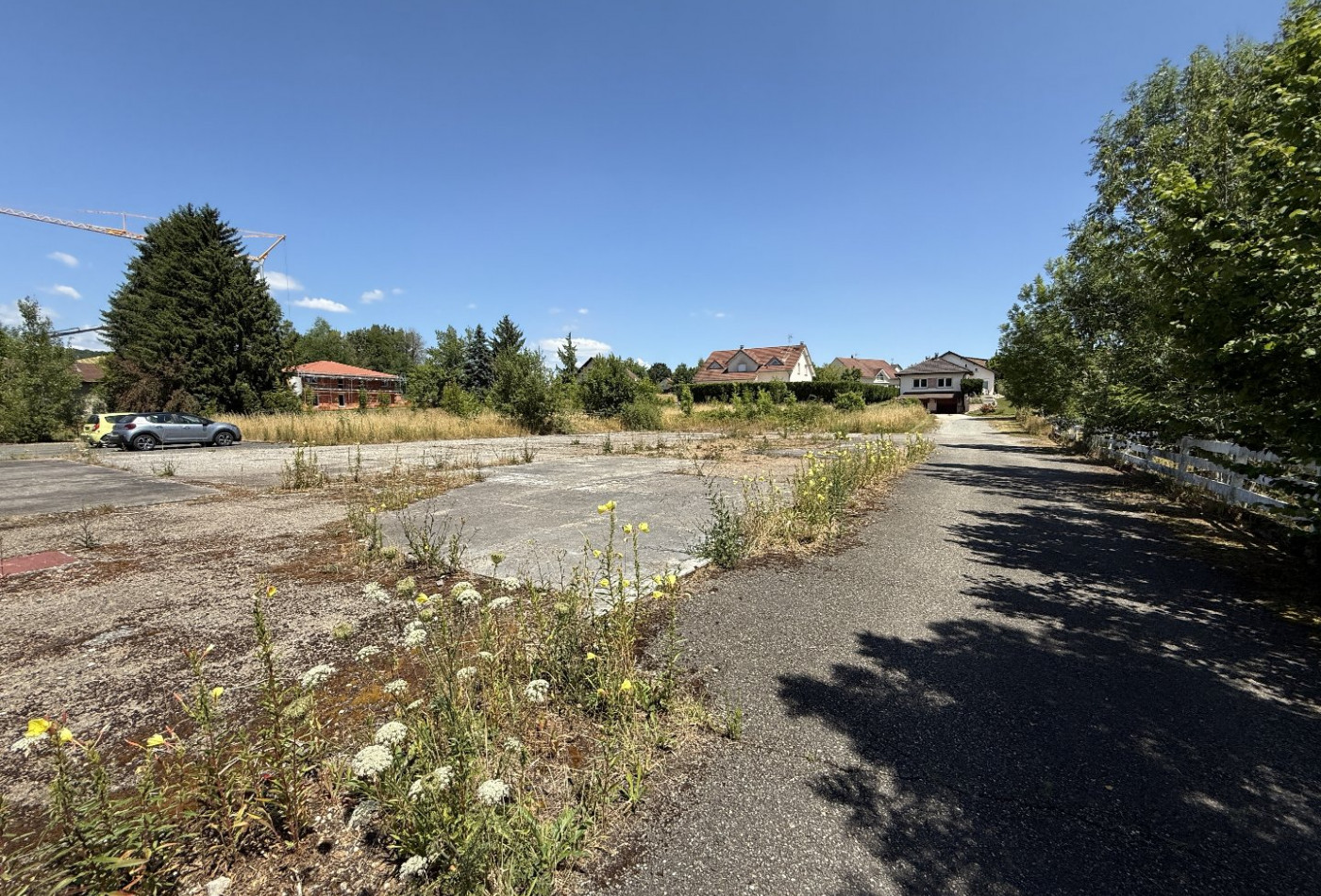 vente Terrain constructible Roppe - Photo 6