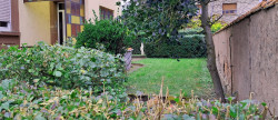 vente Appartement Sarreguemines