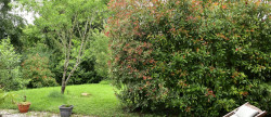vente Maison individuelle Sarreguemines