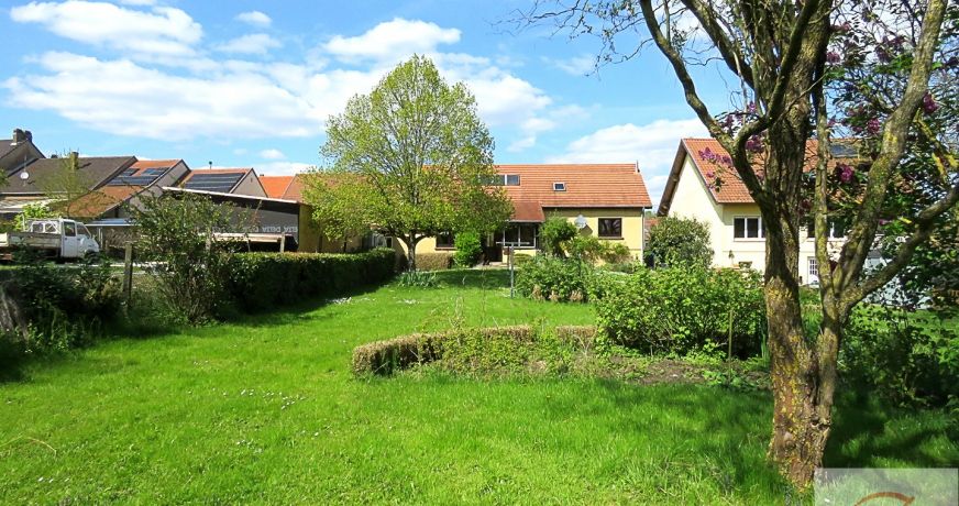 vente Maison individuelle Sarreguemines