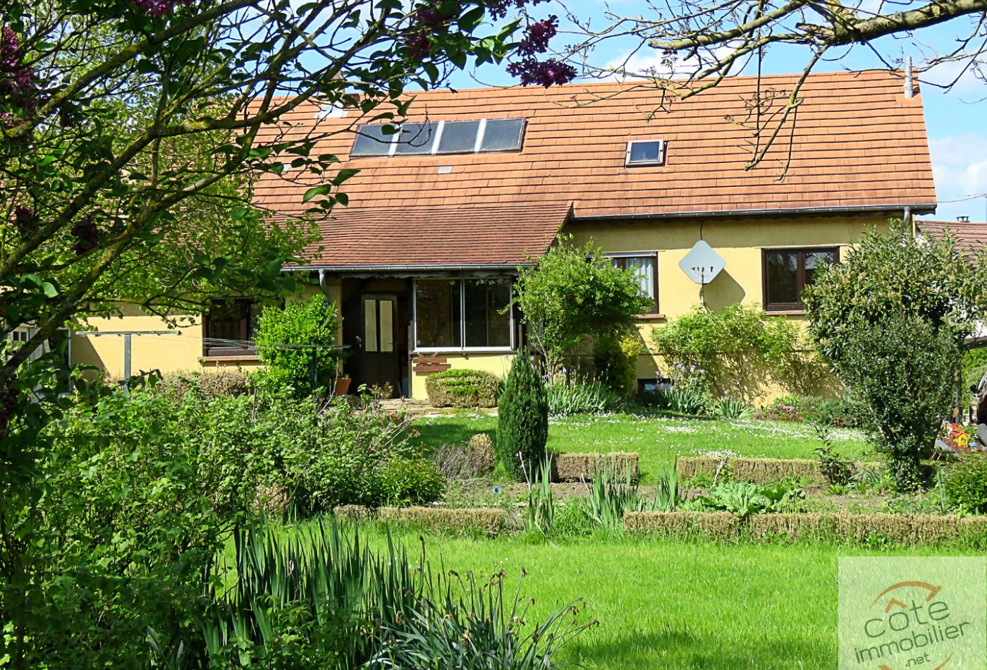 vente Maison individuelle Sarreguemines - Photo 4