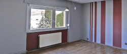 vente Maison individuelle Sarreguemines