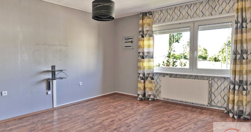 vente Maison individuelle Sarreguemines