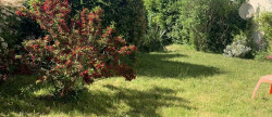 vente Maison Breuillet