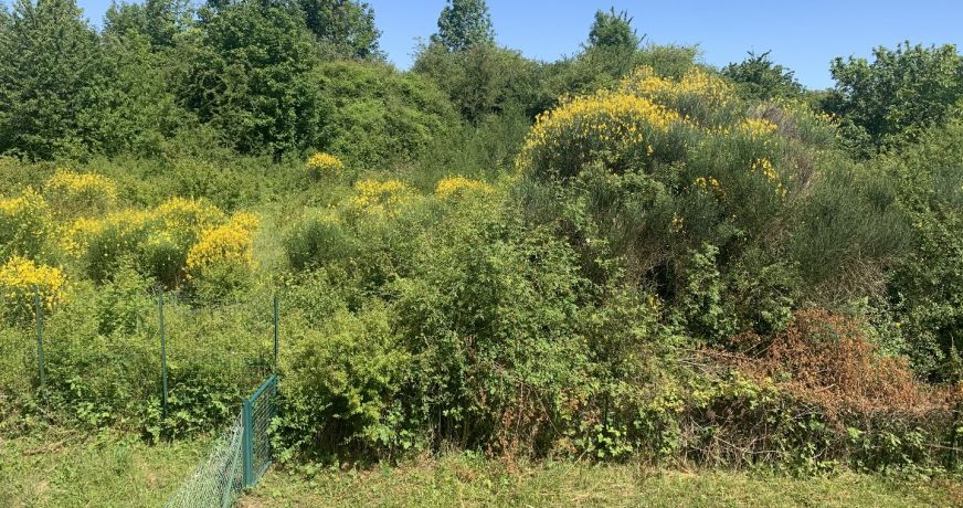 vente Appartement Ollainville