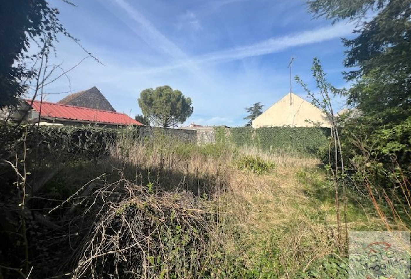 vente Terrain Oysonville - Photo 4